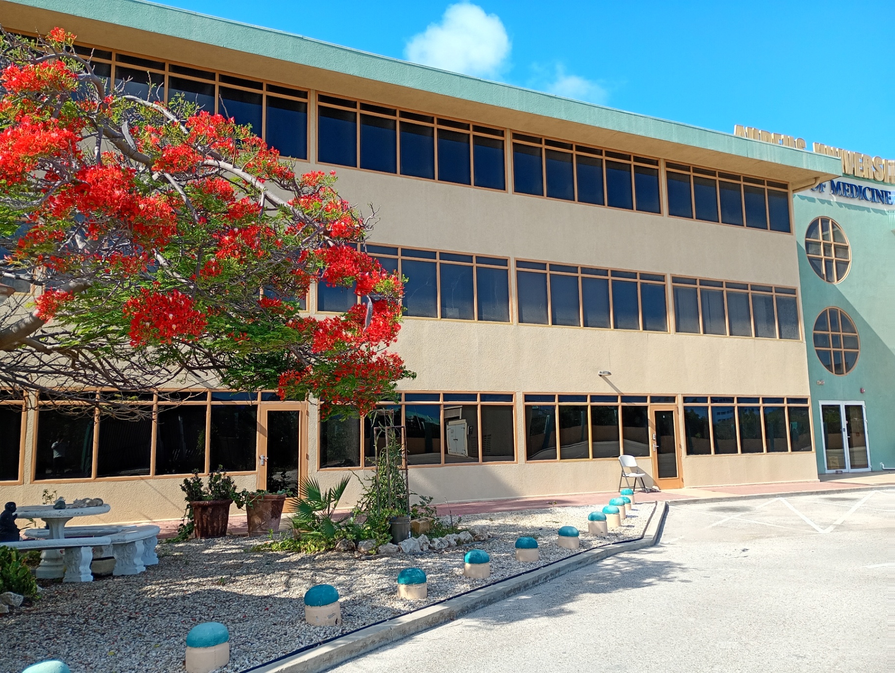 Aureus University main building framed by flamboyant trees