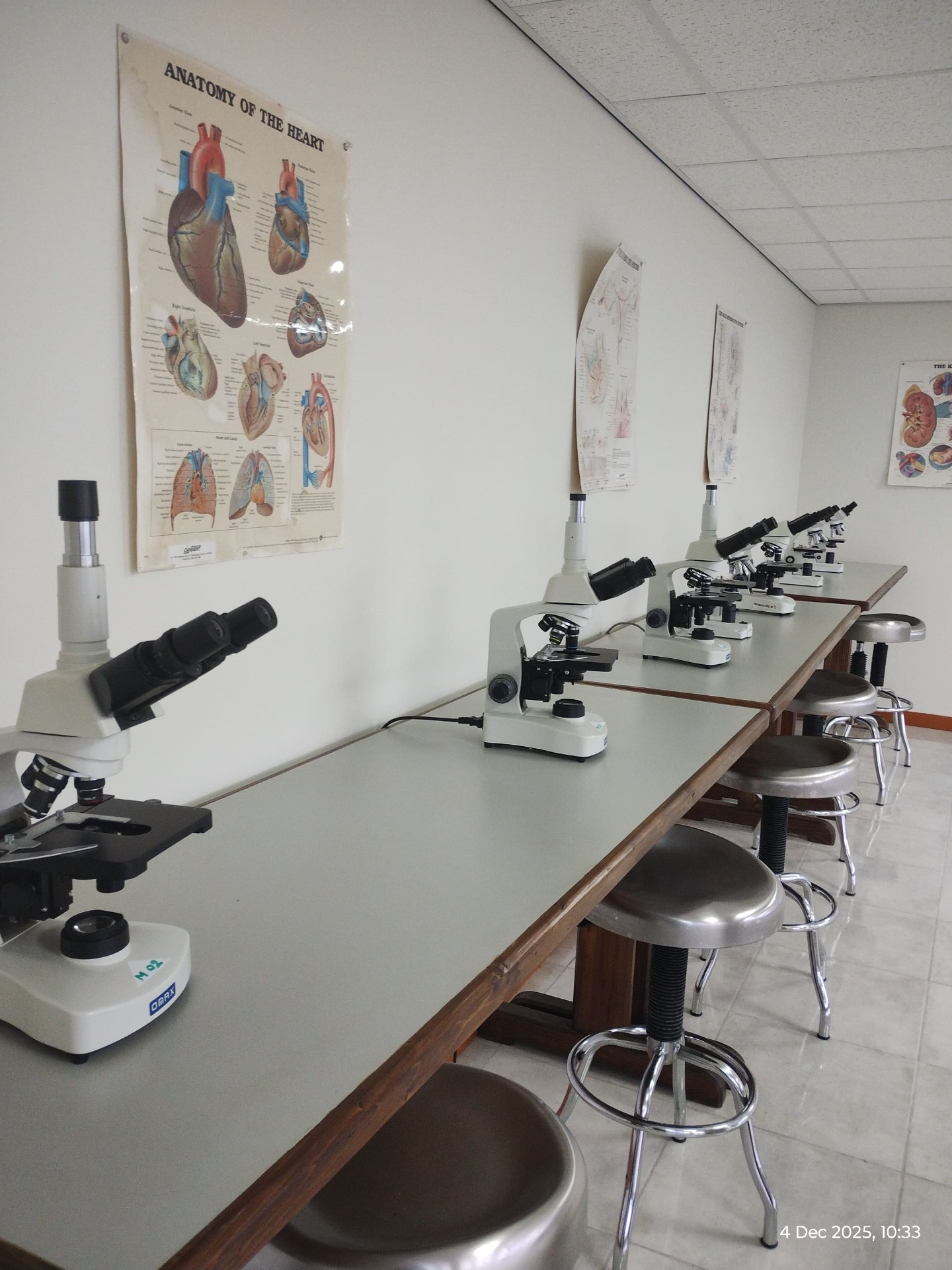 Aureus University anatomy lab with student stations